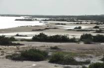 Salinas e região de flamingos no litoral norte do Yucatán, no México